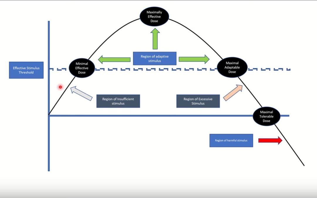 Optimal Training Load Theory