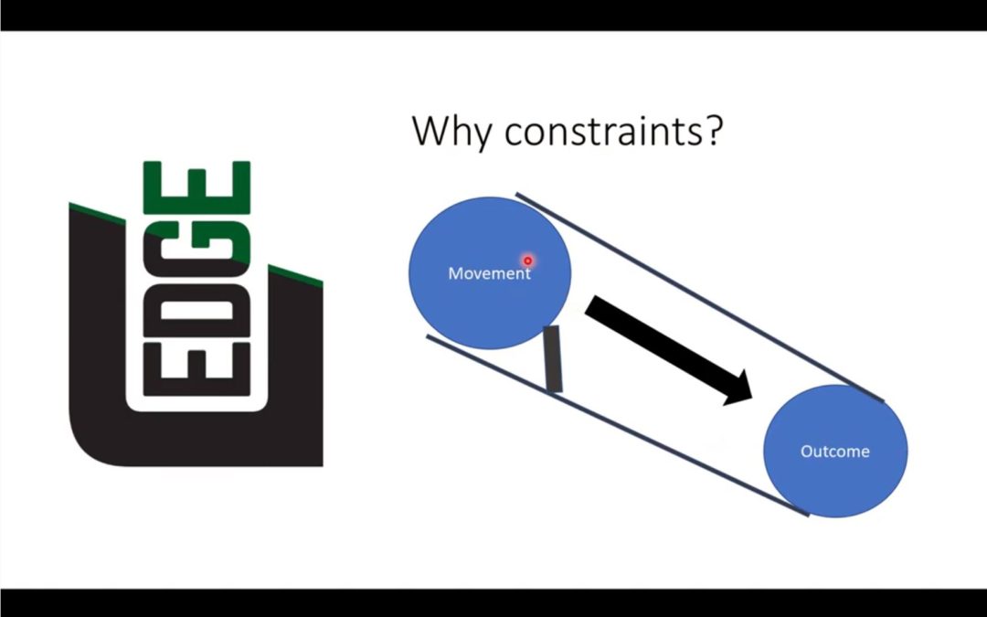 Constraints and How They Influence Movement