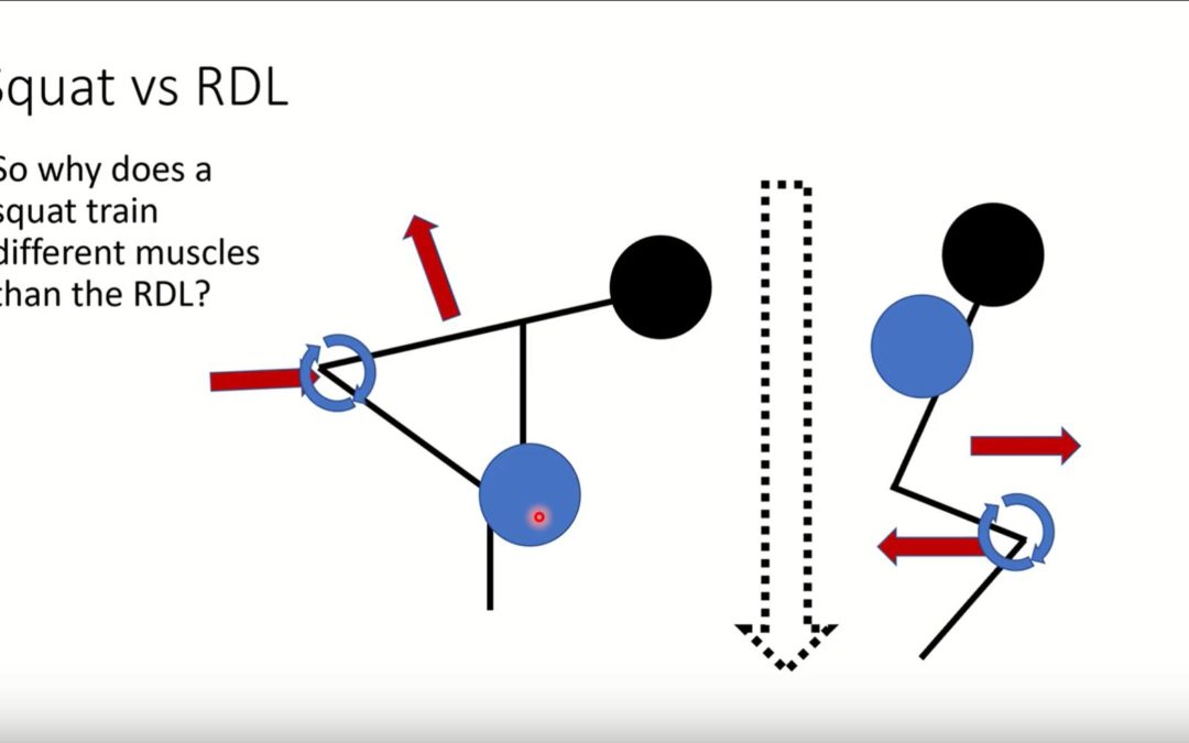 Force Vectors