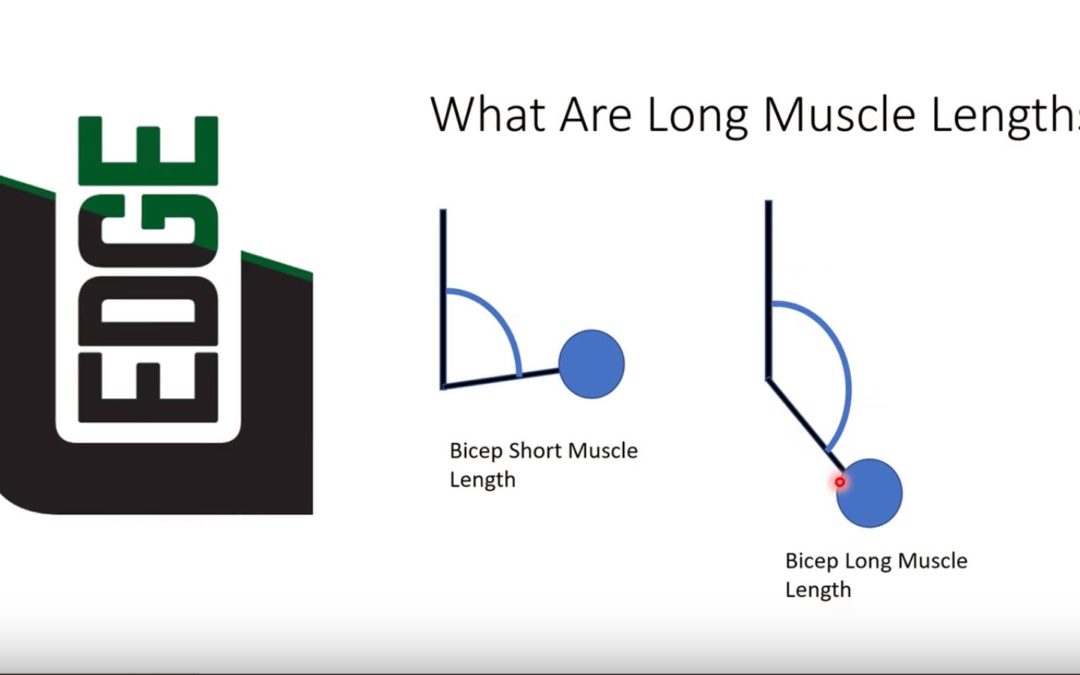 Isometrics (Long muscle lengths)