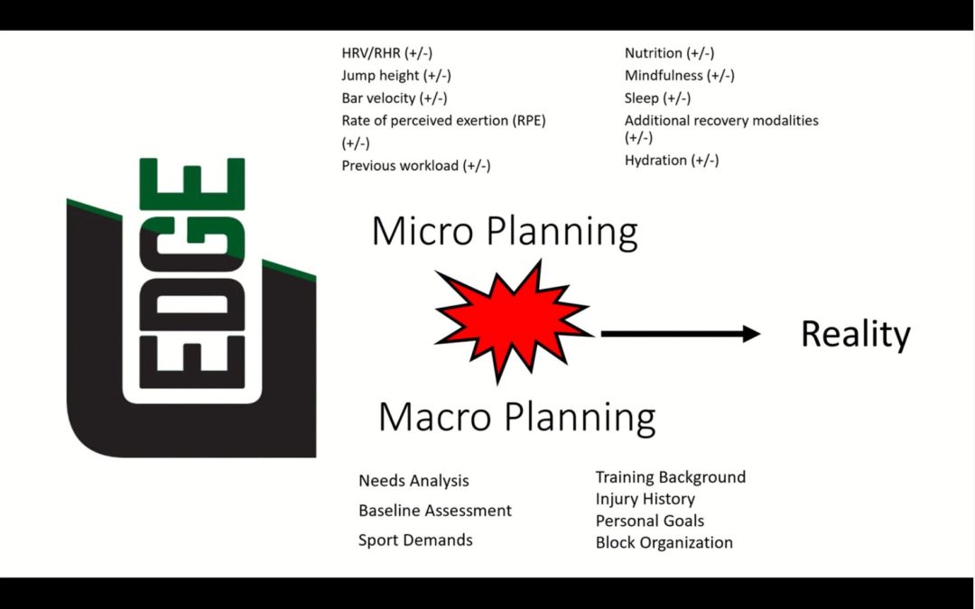 Micro vs Macro Planning