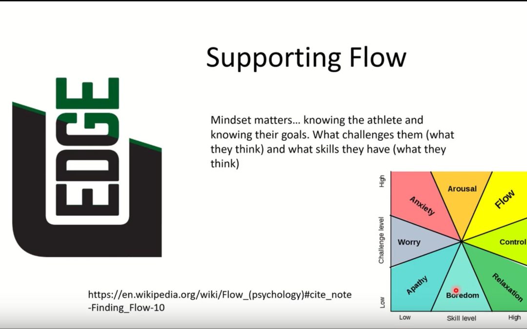 Max’s Take On Flow and Flow States