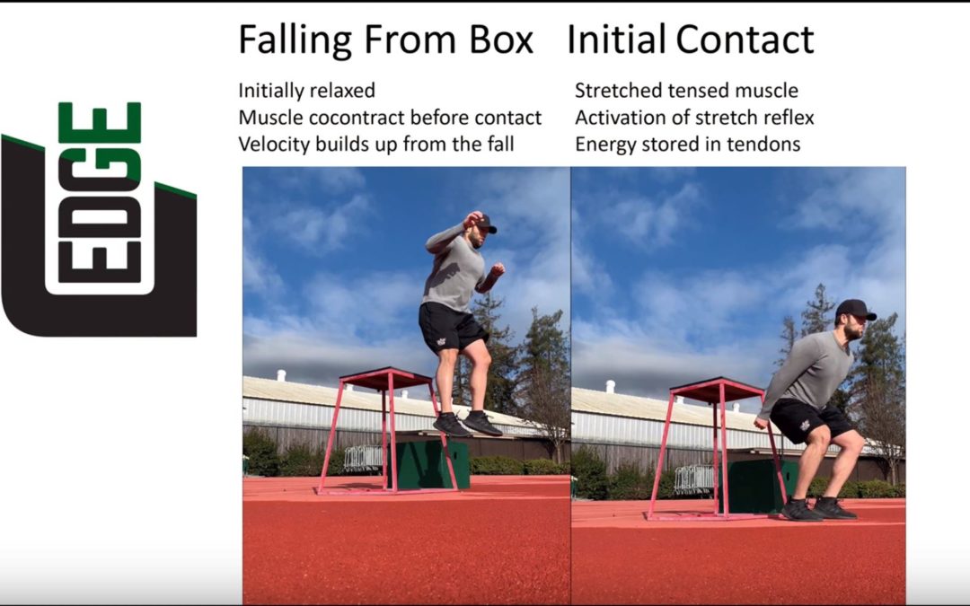 Impulsive Loading: The Science of Depth Jumps