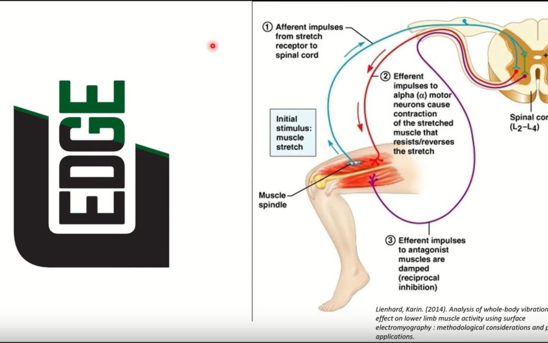 Neurological Conditioning