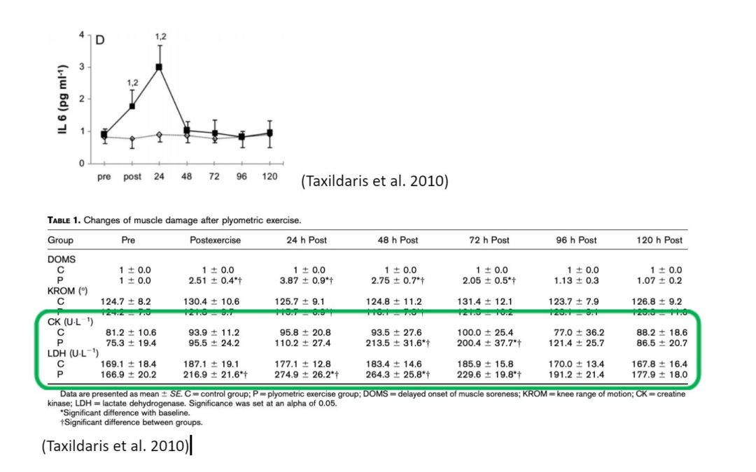 Research Review EDU – 2