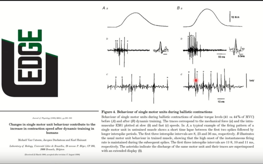 Unique Adaptations To Ballistic Contractions