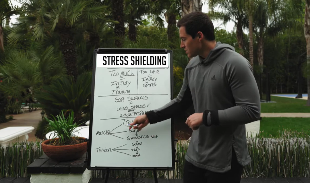 Optimal Training Surfaces (Stress Shielding)