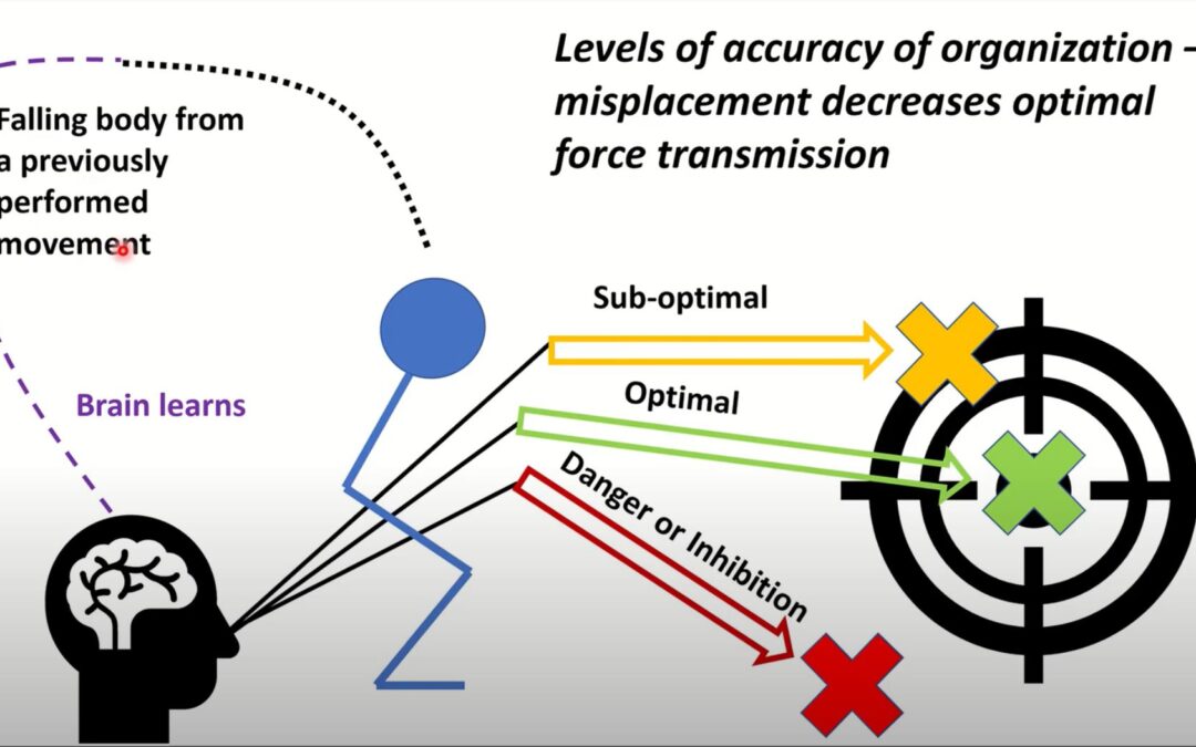 Learning From Your Jumps? (Motor Learning)