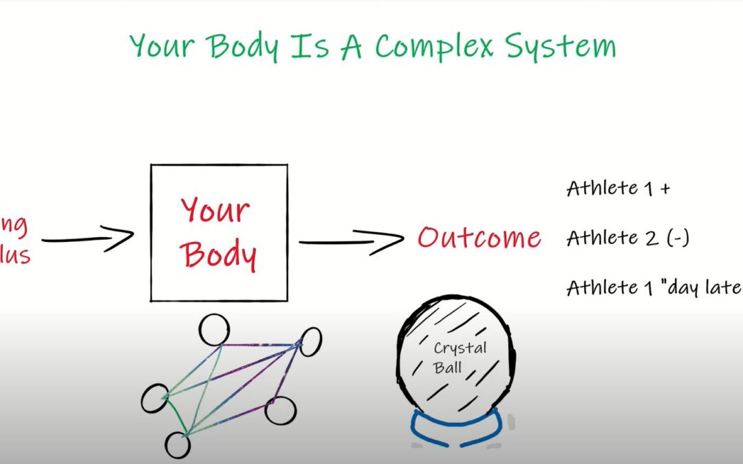 Complex Systems: Why your body is tough to understand sometimes