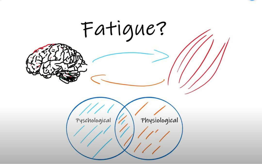 Fatigue: The Full Picture