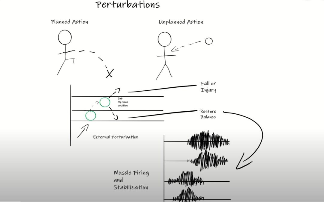 Bands (Part V): Understanding Perturbation For Performance