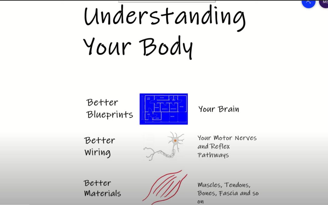 Understanding Your Body: Making Sense of Adaptations