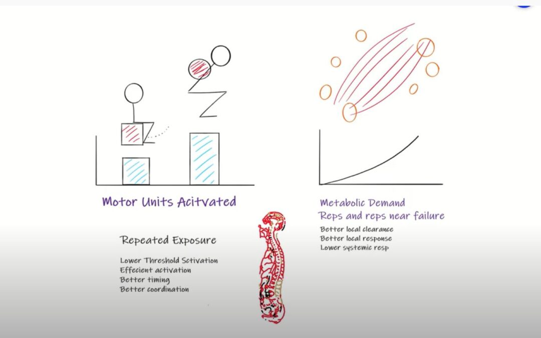 When should I introduce a new exercise: Understanding the science of load