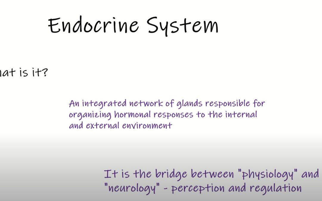 Endocrine System (Part I): What and why?