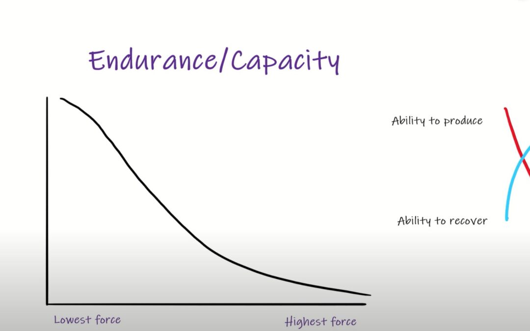 Strength Qualities (Part VII): Endurance