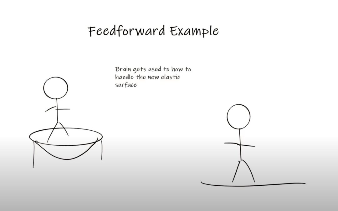 Feedforward Explained