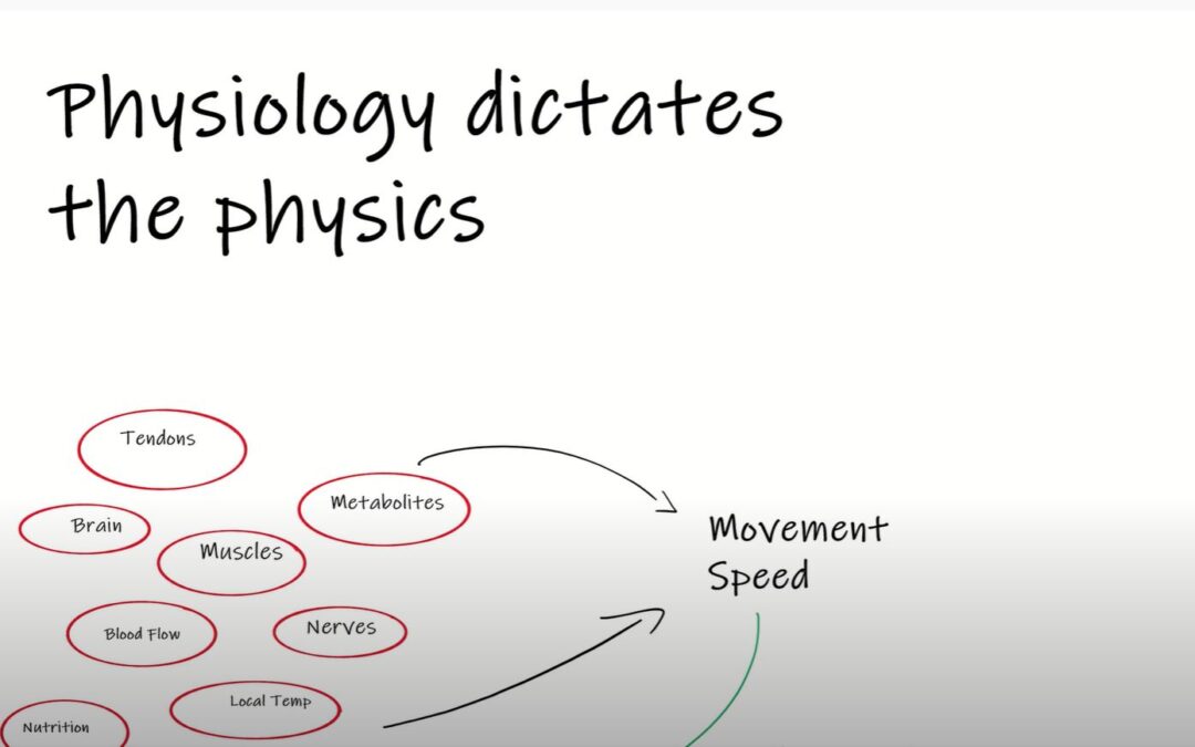 Velocity Based Training (Part III): Physiology Dictates Physics