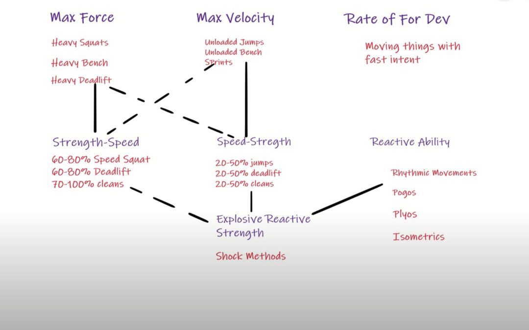 Strength Qualities (Part V): Bigger picture and programming