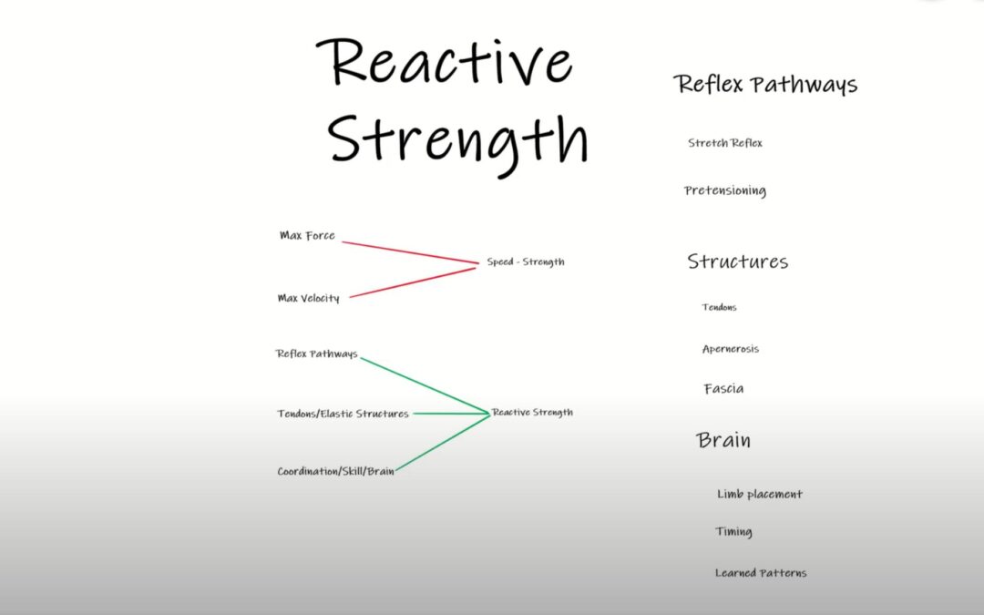 Strength Qualities (Part III): Reactive Strength