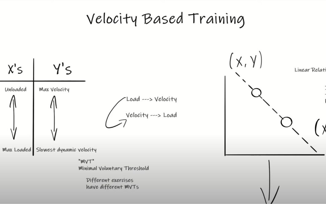 Velocity Based Training (Part I): The Basics You Need To Know