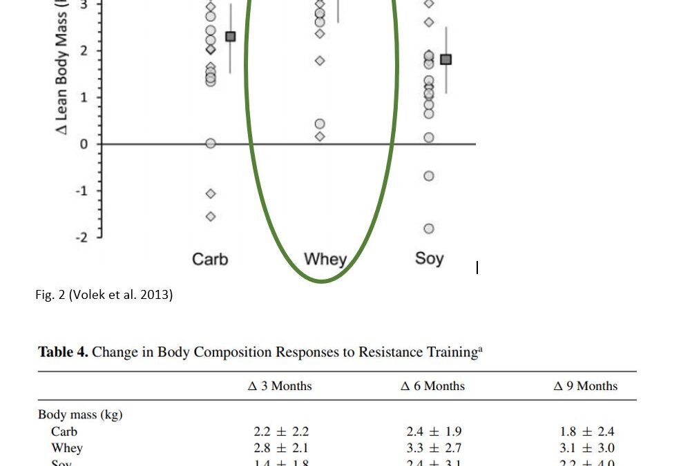 Research Review IV