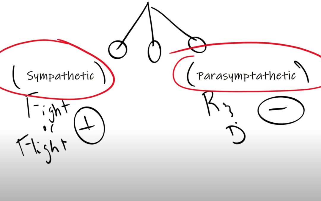 Over Training: Sympathetic and Parasympathetic