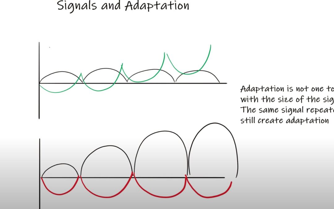 Signals