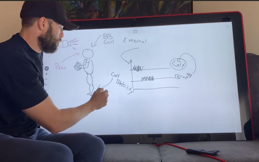 Cocontractions, stability and force