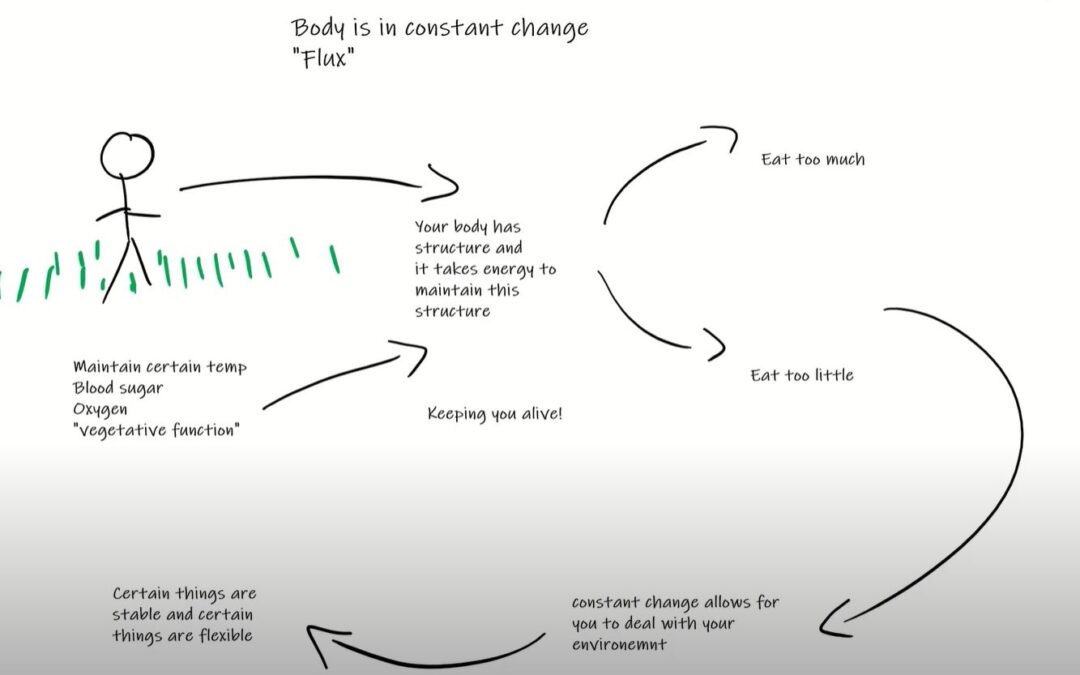 Principle of Adaptations Part II