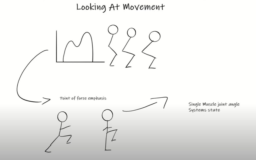 Looking at Movement