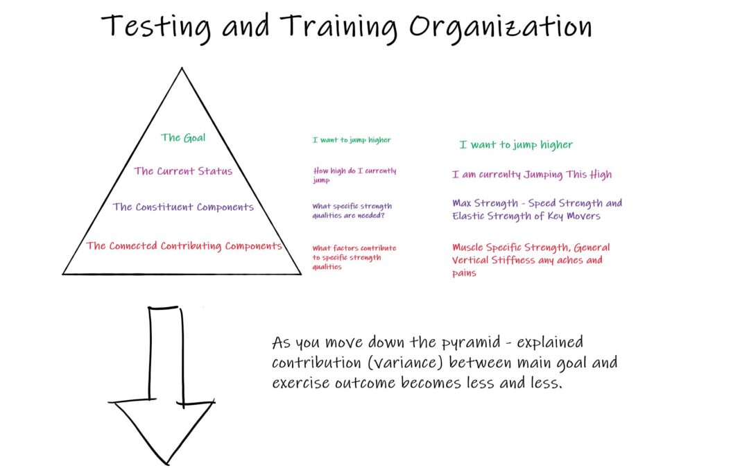 Testing and Training – Mirroring