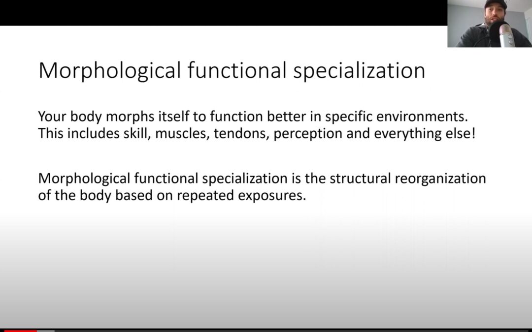 The Basics of Adaptation Part IV