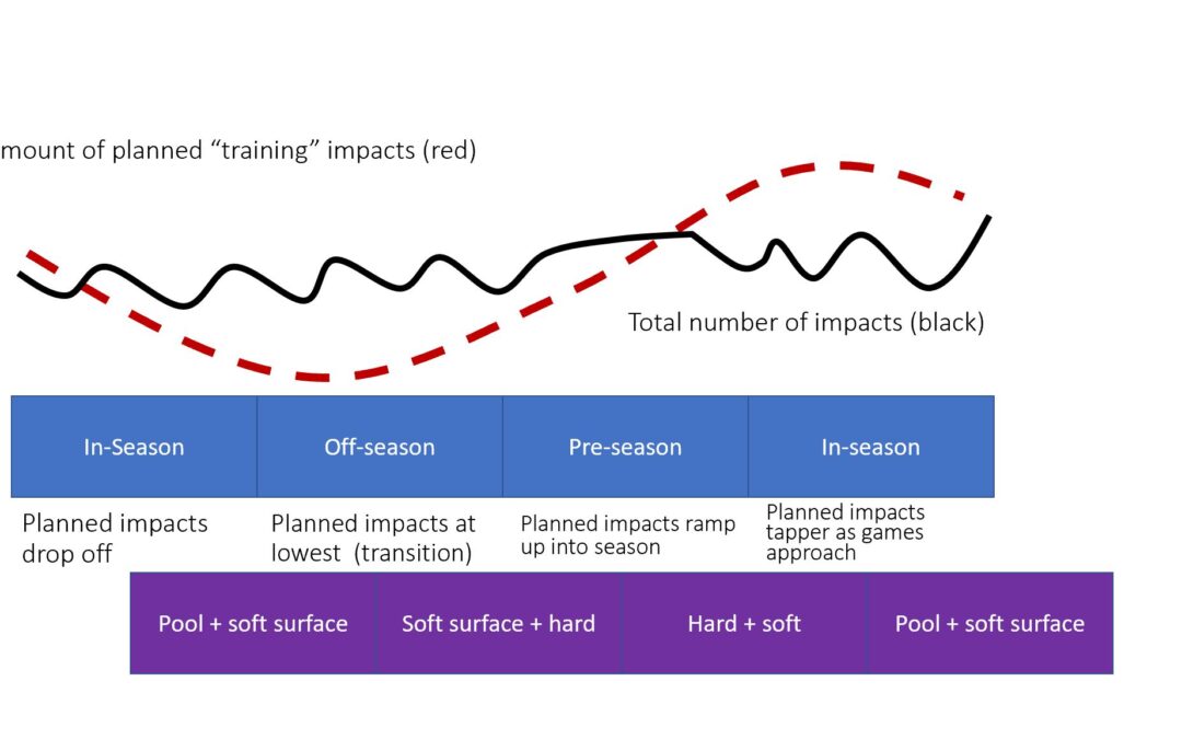 Training Surfaces and Program Design