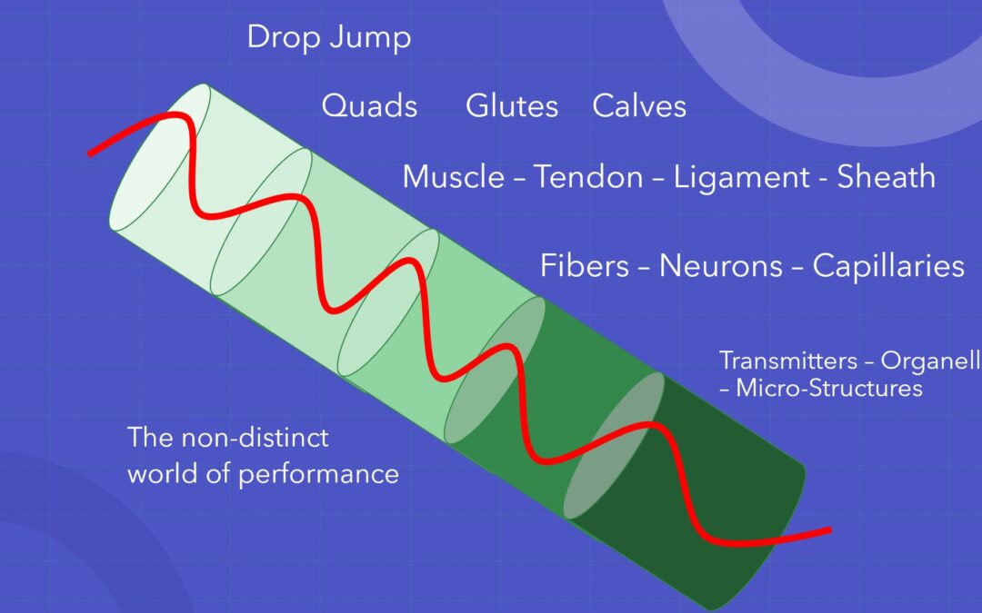 Why a top down approach makes sense: Connecting research and application