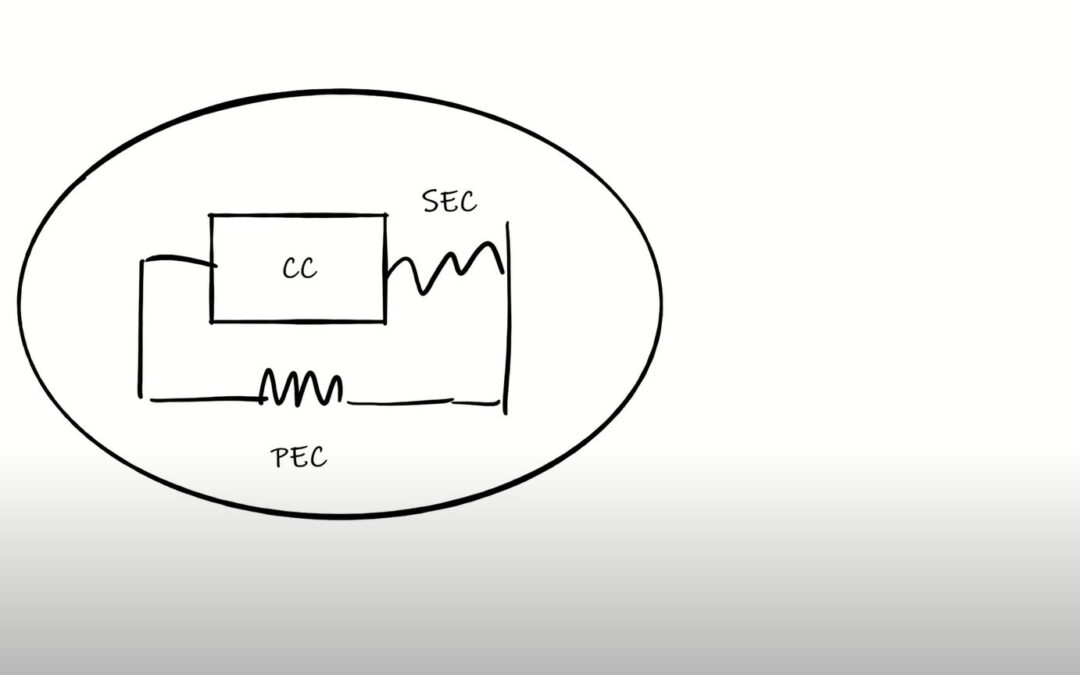 Muscle Tendon Unit and Elastic Strength: Connecting All The Dots?