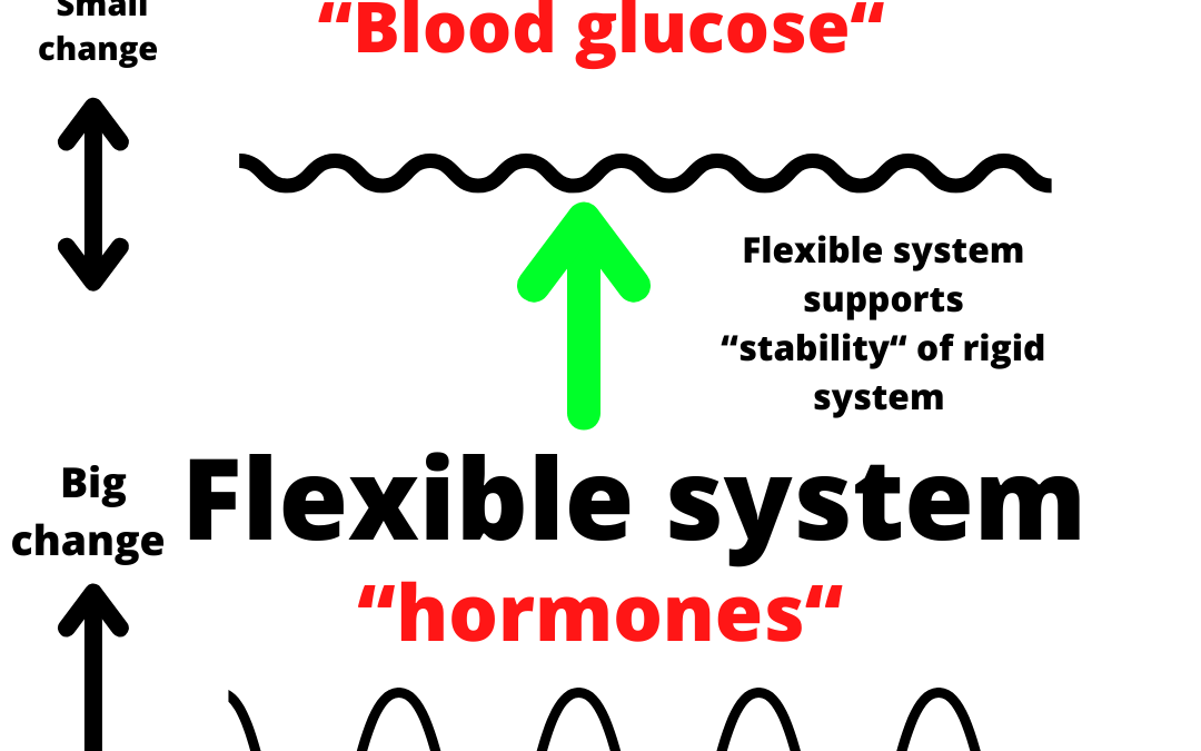 Rigid vs Flexible Systems