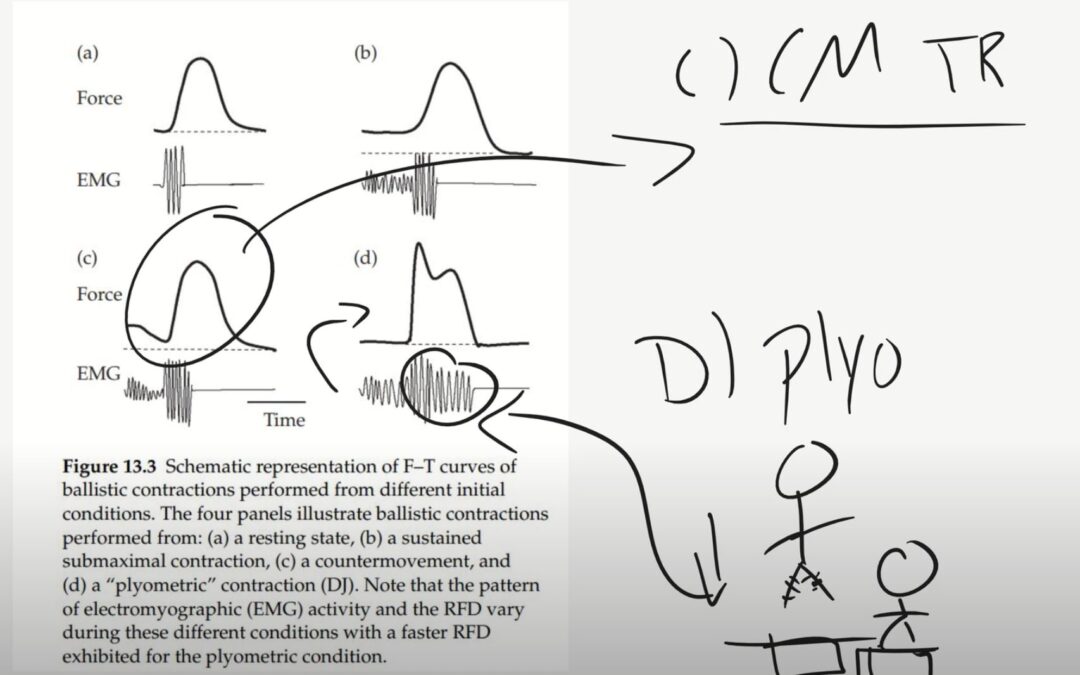 Why Plyometrics Matter