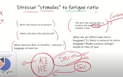 Stressor to Fatigue Ratio Part 2